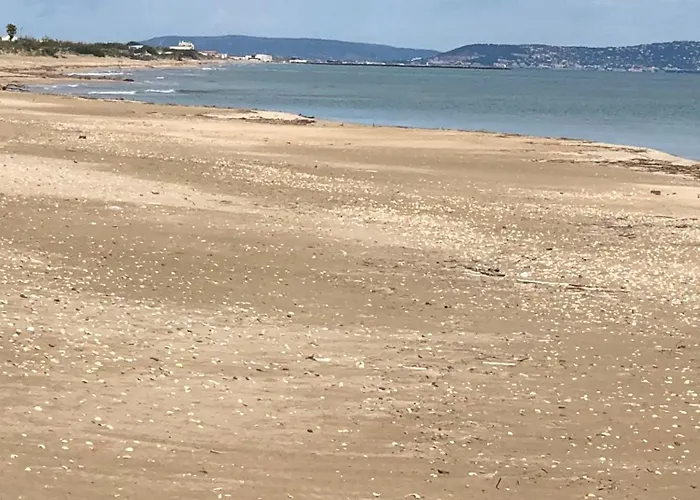 Le Royal Vibes * 阿格德