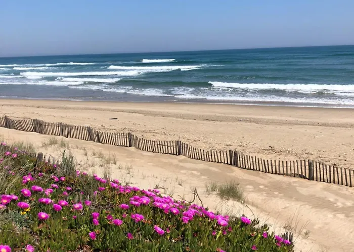 公寓 Le Royal Vibes *